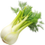 Fennel