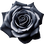 schwarze Rose