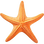 Starfish