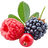 Berries