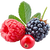 Berries