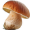 Steinpilz Absolue