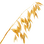 Oat