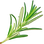 Rosemary