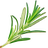 Rosemary