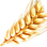 Wheat