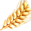 Wheat