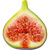 Green fig