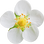 Strawberry blossom