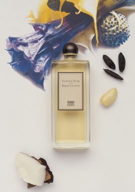 Datura noir discount
