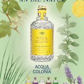 © MÄURER & WIRTZ GmbH & Co.KG