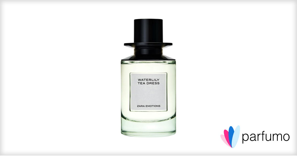Amazon.com : Zara Emotions Ebony Wood Perfume for Women EDP