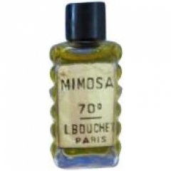 Mimosa by L.Bouchet