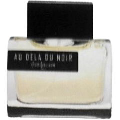 Au Delà du Noir (2016) von Pierre Guillaume