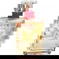 Candor von Dorall Collection