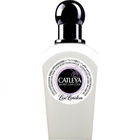 Catleya by Lise London