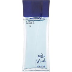Wild Wind for Men (After Shave) von Gabriela Sabatini