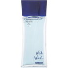 Wild Wind for Men (After Shave) by Gabriela Sabatini