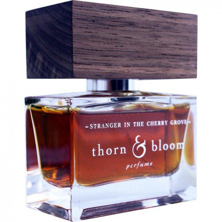 Stranger in the Cherry Grove von Thorn & Bloom