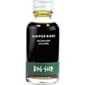 Big Sur (2017) by Juniper Ridge