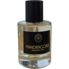 Mandragora by PerfumeCraft