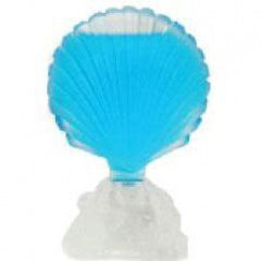 Caribbean Collection - Shell by Seajewels