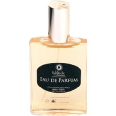 Aquatique boisé (Eau de Parfum) von La Bastide des Arômes / Les Fleuris de Grasse