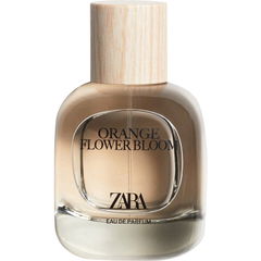Orange Flower Bloom by Zara