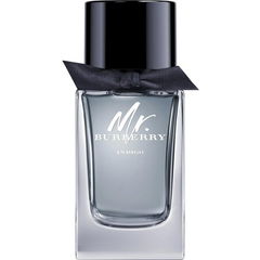 Mr. Burberry Indigo von Burberry