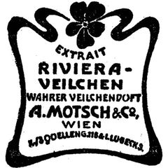 Riviera Veilchen von A. Motsch & Co.