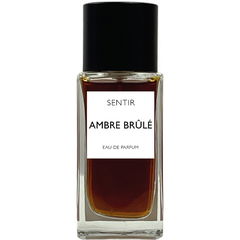 Ambre Brûlé von Sentir