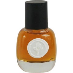 Ash Oud von Circe