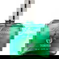 Silvestre (Eau de Cologne) by Victor