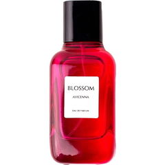 Blossom by Avicenna
