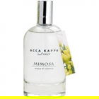 Mimosa von Acca Kappa