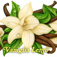 Vaniglia Lento von Pulp Fragrance