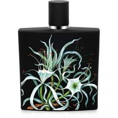 Amazon Lily by Nest