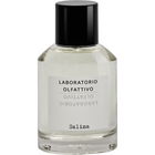 Salina by Laboratorio Olfattivo