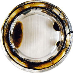 Pisces Rising by Wild Veil Perfume