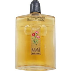 Œillet von Gellé Frères