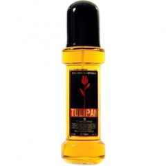 Tulipan by Campomar