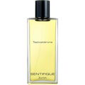 Testostérone by Sentifique