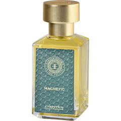 Magnetic by Hareem Istanbul