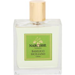 Basilico Siciliano von Narcisse
