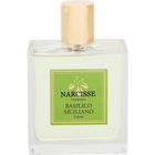 Basilico Siciliano von Narcisse