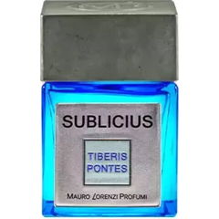 Tiberis Pontes - Sublicius by Mauro Lorenzi