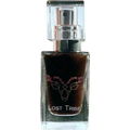 Amalfi Dreams von Lost Tribe