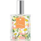 Daisy Star by Cute Press