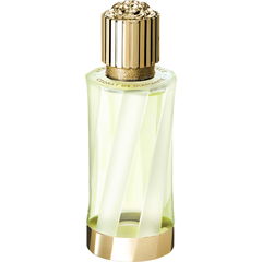 Cédrat de Diamante by Versace