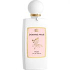 Rose von Domaine Privé
